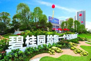 安宁碧桂园最新爆料,智慧生活新篇章即将开启